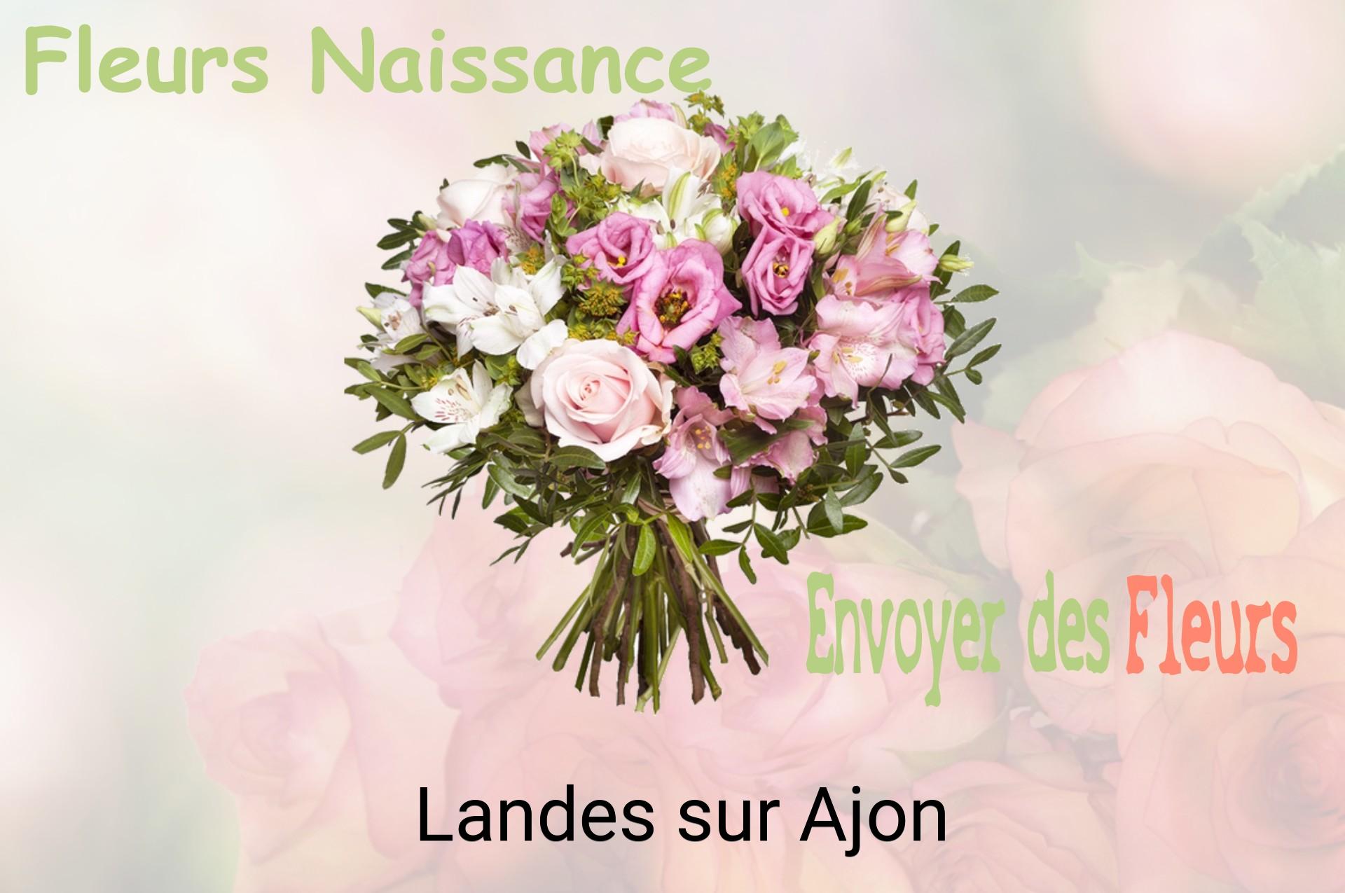 Bouquet de fleurs de naissance livré à Landes-sur-Ajon